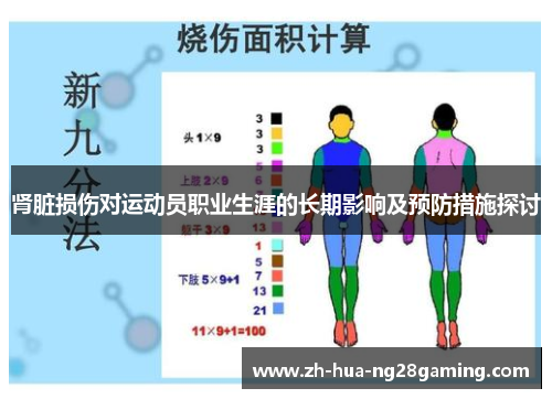 肾脏损伤对运动员职业生涯的长期影响及预防措施探讨