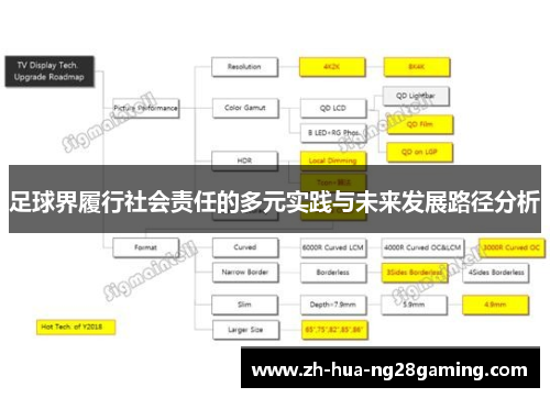 足球界履行社会责任的多元实践与未来发展路径分析